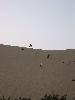 IMG 5324