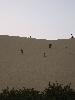 IMG 5325