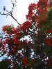 IMG 5337