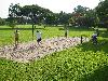 IMG 5344 IMG 5344