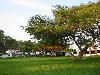IMG 5345
