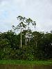 IMG 0590