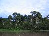 IMG 0593