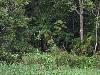 IMG 0613