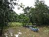IMG 0614
