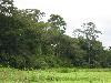 IMG 0628