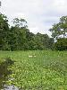 IMG 0638