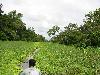 IMG 0640 IMG 0640