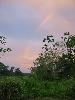 IMG 0647