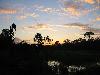 IMG 0648