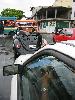 IMG 5366