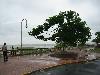 IMG 5374