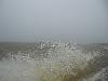 IMG 5386