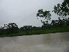 IMG 5395