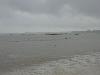 IMG 5397