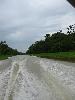 IMG 5398