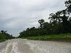 IMG 5399