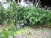IMG 5401