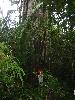 IMG 5406