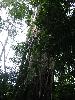 IMG 5407