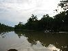 IMG 5411