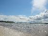 IMG 5449