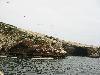 IMG 0565