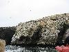 IMG 0571