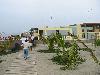 IMG 5513