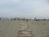 IMG 5514 IMG 5514