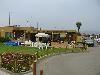 IMG 5528