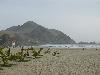 IMG 5536