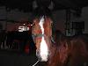 DSCN0207