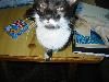 IMG 5615
