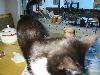 IMG 5616