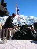 IMG 5630