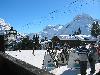 IMG 5631