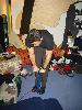 IMG 5647