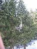 IMG 5684