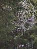IMG 5688