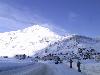 IMG 3455