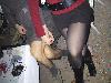 IMG 3567
