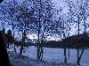 118-1865 IMG