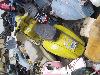 IMG 3755