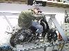 IMG 3772