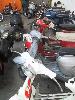 IMG 3777