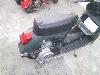 IMG 3786