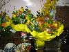IMG 5924