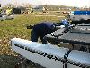IMG 5929